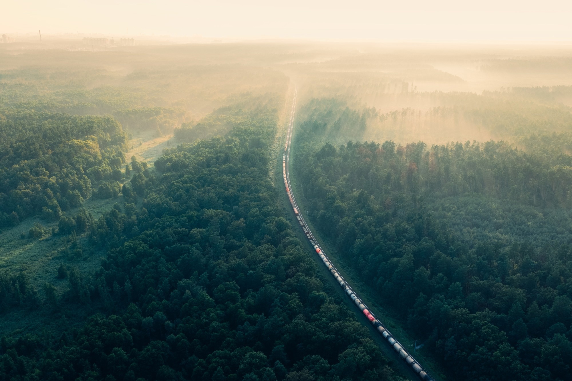 Train in summer morning forest at fog sunrise. Aerial view of moving freight train in forest.