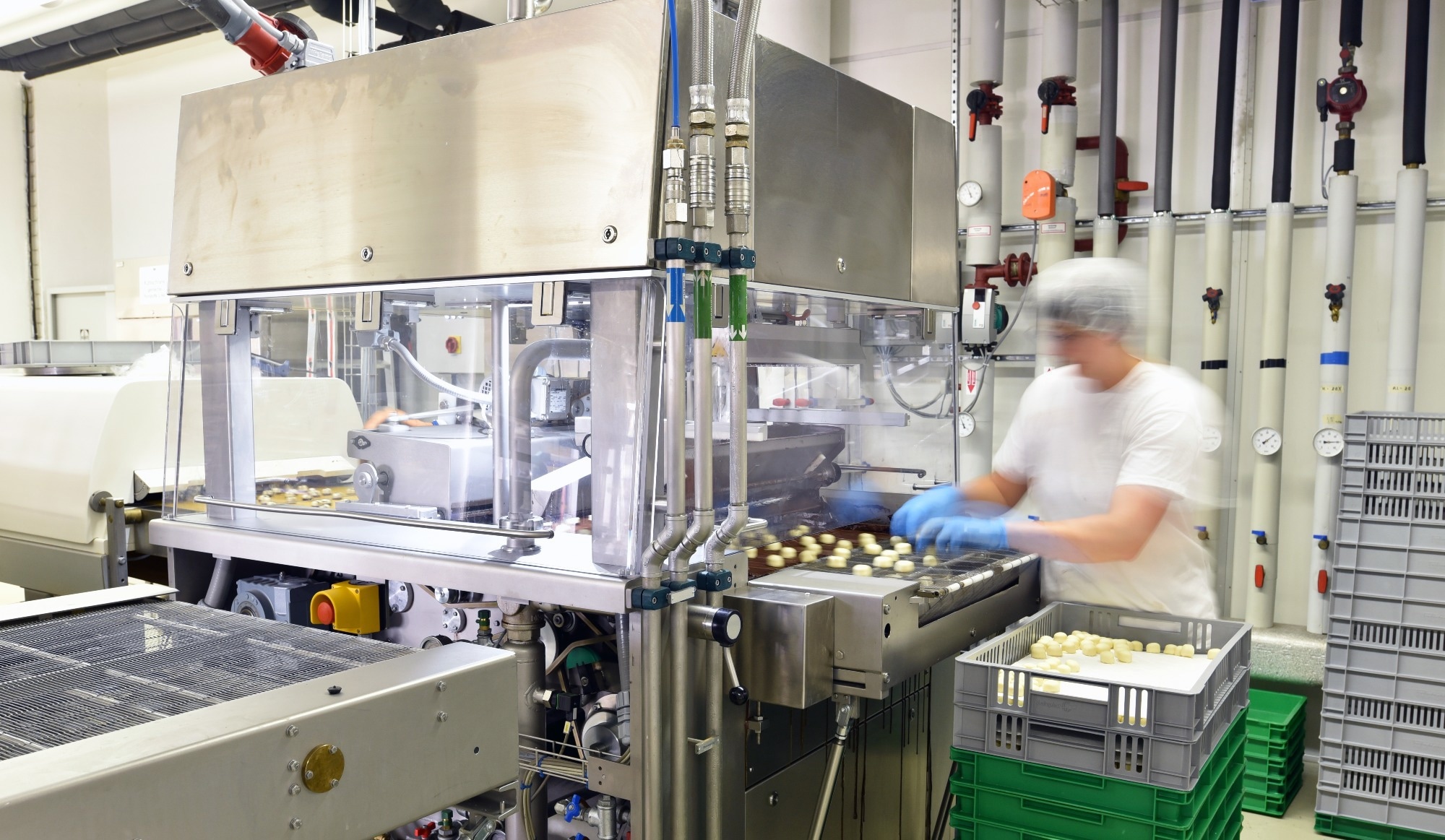 A worker in a food factory packs chocolates onto a conveyor belt.