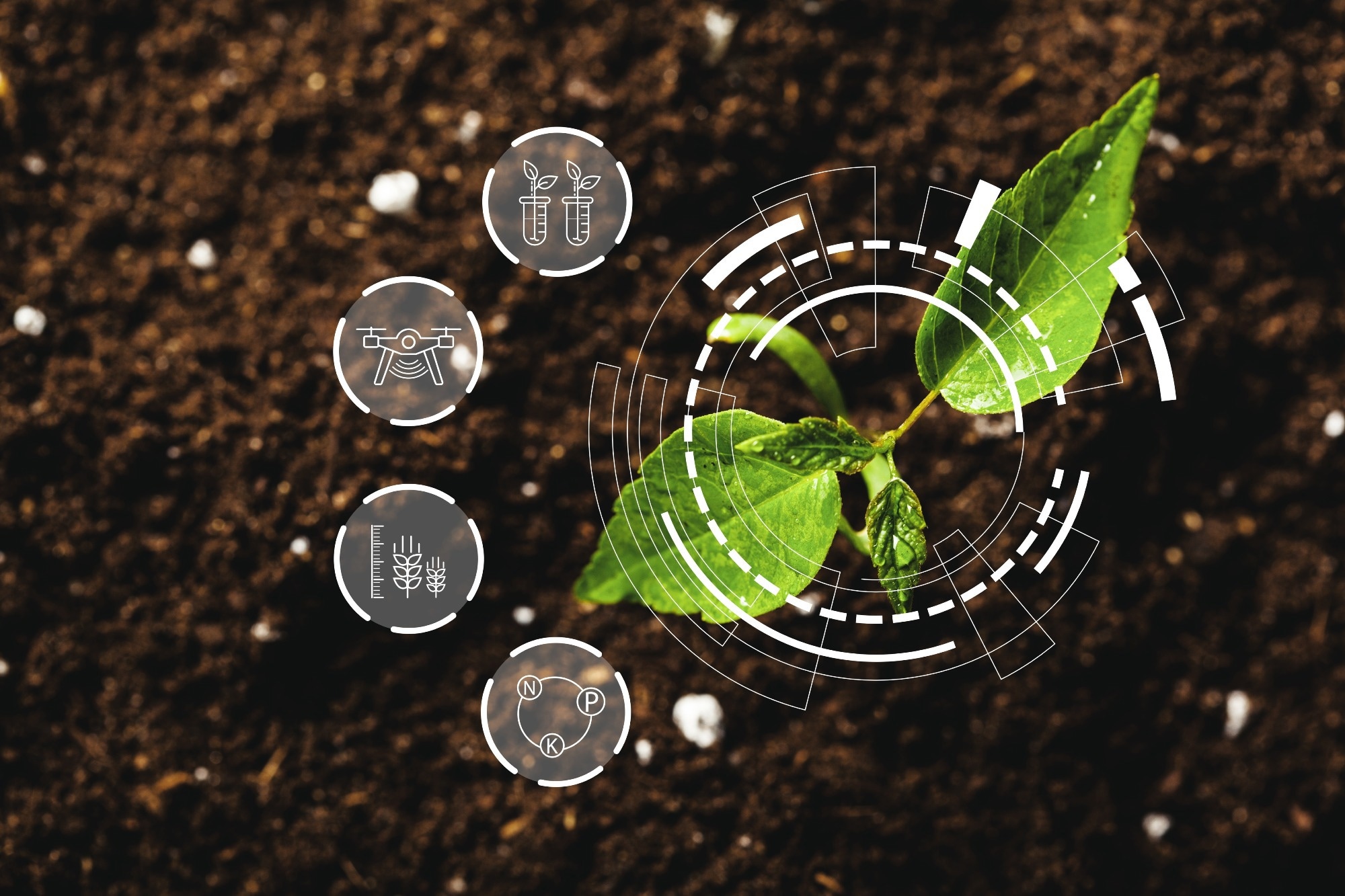Biosensors Detecting Plant Diseases