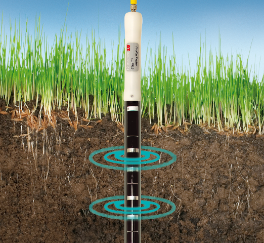 Installed Profile Probe with representation of sensed zones.