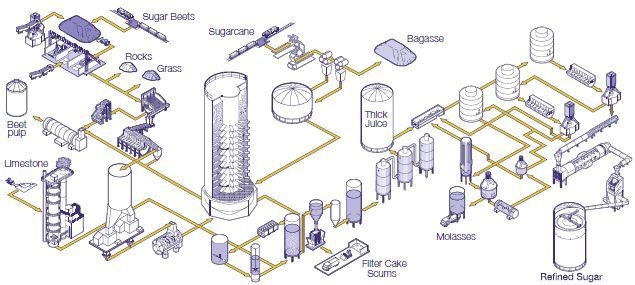 Sugar Production Process