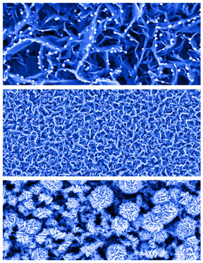 Image from a microscope showing the nanosheet layer to the new multilayer biosensor.