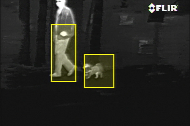 Image Credit: FLIR