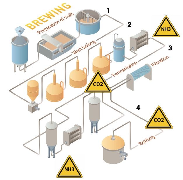 The different processes involved during brewing and the gases evolved during each of them