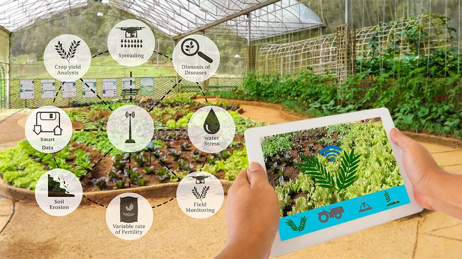 Advancements in Sensor Technology for Agriculture