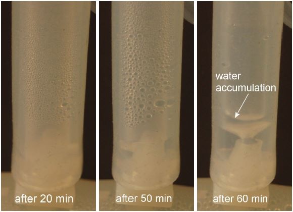 Determining Superior Immunity to Humidity Using LDE Differential Pressure Sensors