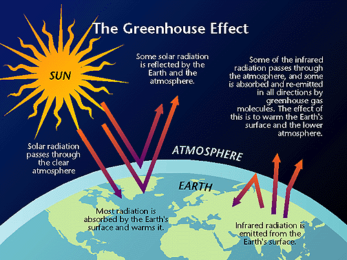 Biological mechanisms to the greenhouse effect.