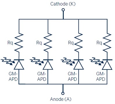 The parallel arrangement of GM-APDs with series quenching resistors (Rq) in a SiPM.