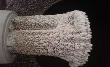 Effective and Safe Handling of Powder and Solid Materials