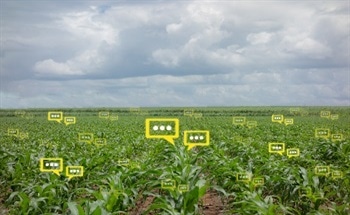 Helping Agriculture Using Sensors