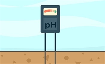 Soil Moisture Sensor Technology