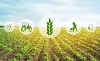 Using Sensors in Food and Agriculture