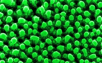 Using Sensors in Atomic Force Microscopy