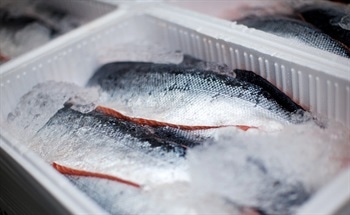 The World's First Edible Food Sensors