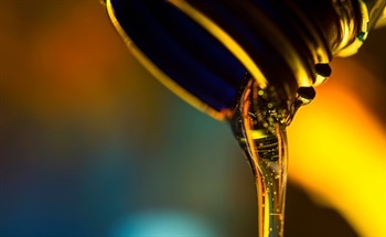 Process Viscosity Sensors -  Examining Shear and Longitudinal Viscosity Sensors