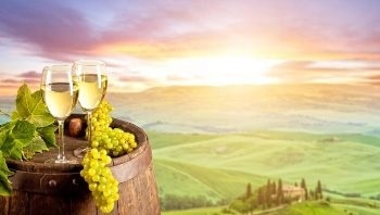Load Sensing and Position Monitoring in Wine Production