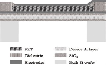 Vibrational Analysis of Piezoelectric Micromachined Ultrasonic Transducers