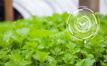 How Can Edible Food Sensors Help Us?