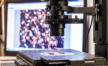 What are Atomic Force Microscopy Stress Sensors?