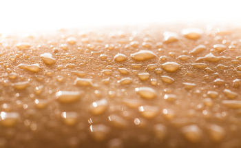 New Biofuel Material Can Power Wearable Electronics with Sweat