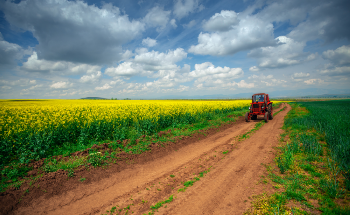 The Importance of MEMS Sensors in Agriculture