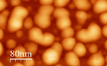 Nanobiotechnology and Disease Detection