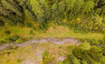 Seismic Monitoring and Machine Learning for Early Debris Flow Warning