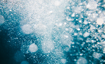 What is a Bubble Chamber?