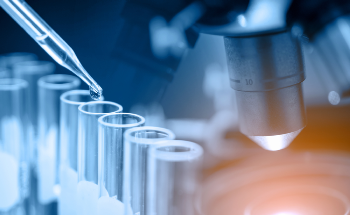 Fluorescent Chloride Sensors
