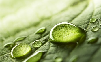 Calculating the Dew Point from Temperature and Relative Humidity