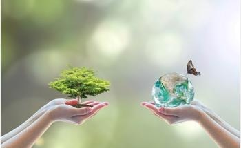 How are Sensors Used in Conservation Efforts?