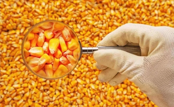 At-line Food Production Analysis using an Innovative NIR Spectrometer