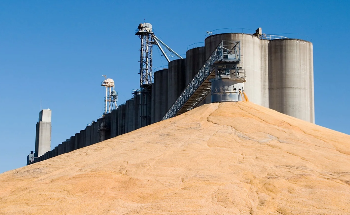 What is Bulk Density?