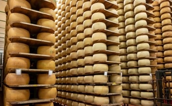 How Sensors Are Reshaping Cheese Factories