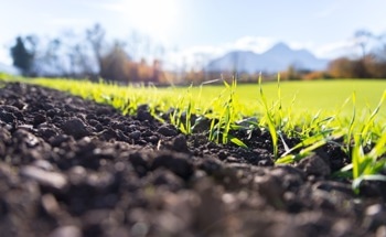 How Do Weather Sensors Aid Farmers in Climate-Resilient Agriculture?