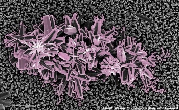 Sensors and Zinc Oxide Films