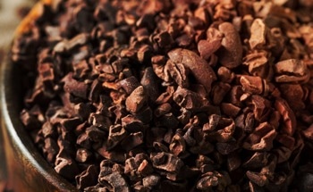 Applying the Electronic Nose to Cocoa Quality Control