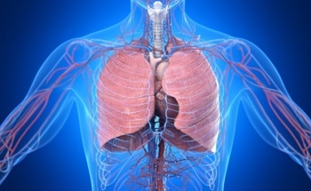 Innovative Gas Sensing Solutions for Advanced Pulmonary Function Testing