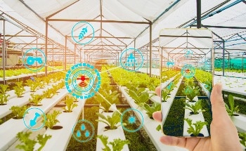 Optimizing Indoor Farming with Temperature and Humidity Sensors