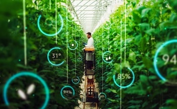 Smart Sensors and Their Impact on Modern Indoor Agriculture