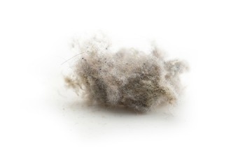 Safe Ultrasonic Thickness Measurement in Explosive Dust Conditions