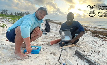 Protecting Endangered Turtles on Kenya's Coast Using Sensor Technology