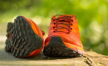 Shoe-Embedded Pressure Sensors