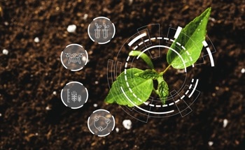 How Biosensors Are Detecting Plant Diseases Before Symptoms Appear
