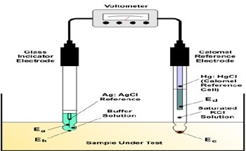 pH Sensors to Monitor pH Levels During Fermentation of Alcohol