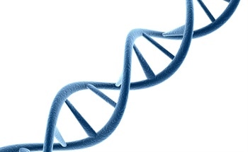 DNA Detection Cantilever Sensor Technology