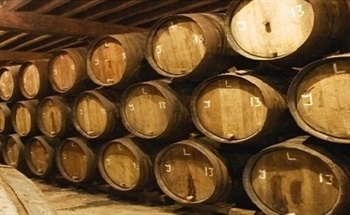 Toxic Gas Detection in Breweries