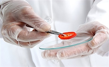 Novel Technology for Cheaper and Faster Food Safety Detection