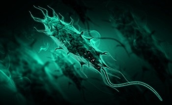 Bio-Sensing Dipstick Test for E. Coli in Water