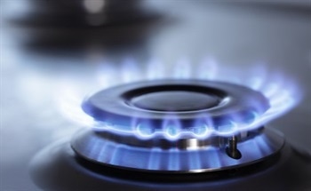 Testing Natural Gases Using an Electronic Nose